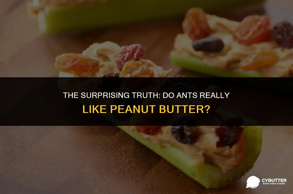 do ants like peanut butter