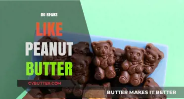 Do Bears Like Peanut Butter? Unraveling the Myth