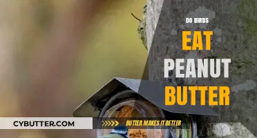 Can Birds Indulge in Peanut Butter? A Nutty Inquiry