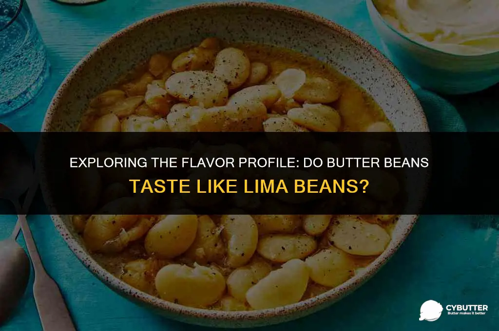 do butter beans taste like lima beans