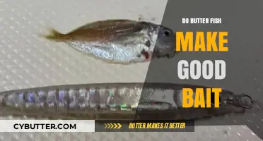 Butterfish as Bait: Effective Choice or Overhyped Fishing Option?