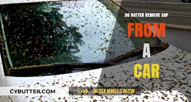 Effective Ways to Remove Tree Sap from Your Car's Surface