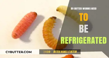 The Surprising Truth About Butter Worm Refrigeration