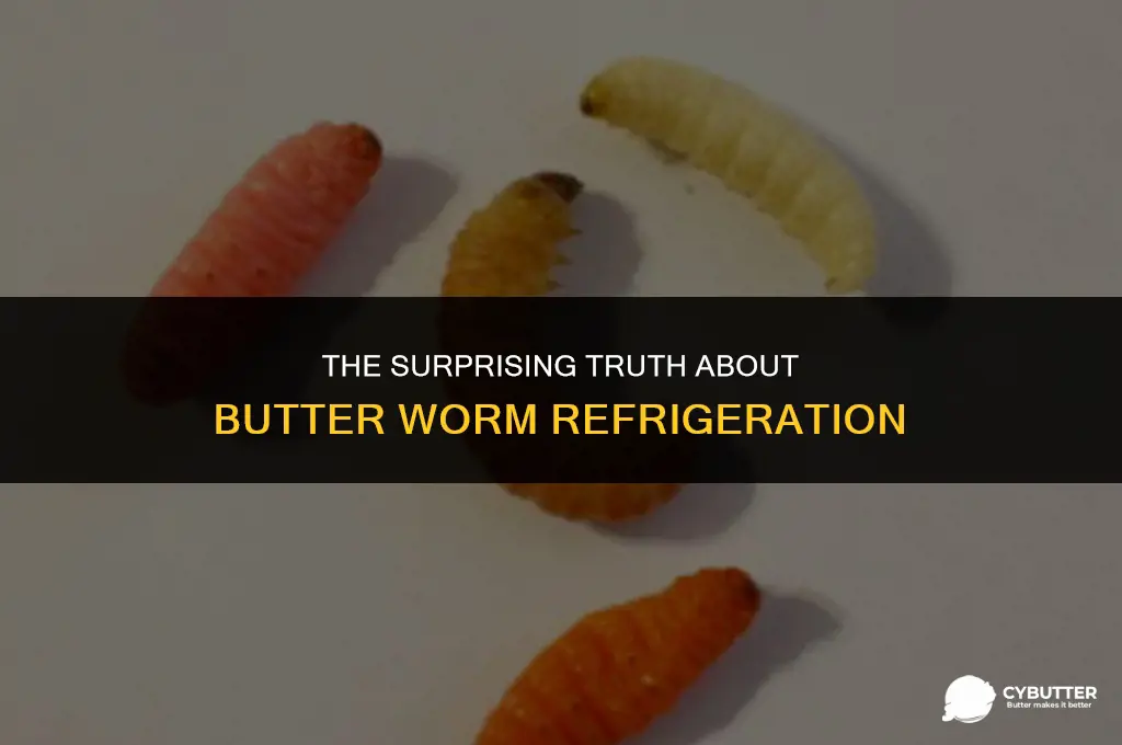 do butter worms need to be refrigerated
