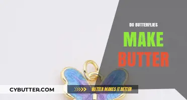 The Surprising Truth: Do Butterflies Really Make Butter?