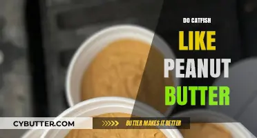 Exploring the Quirky Question: Do Catfish Really Like Peanut Butter?