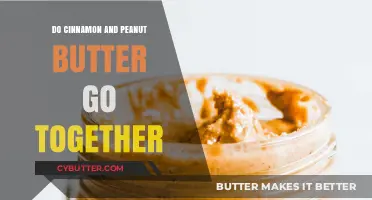 Sweet and Savory Harmony: Cinnamon Meets Peanut Butter Delight