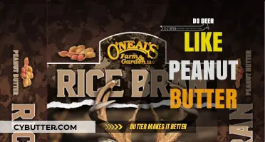 Deer's Delight: The Surprising Truth About Peanut Butter
