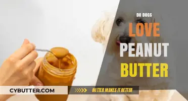 Peanut Butter Bliss: A Canine's Favorite Treat?