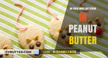 Do Field Mice Get Stuck in Peanut Butter? Unraveling the Myth