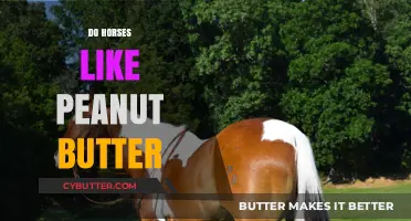 Peanut Butter for Horses: A Tasty Treat or a No-No?
