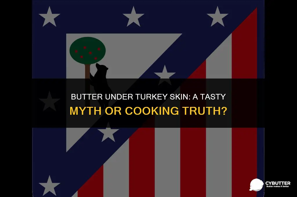 do i put butter under turkey skin