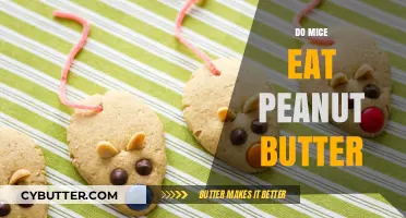 The Surprising Truth About Mice and Peanut Butter