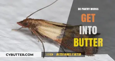 Can Pantry Moths Infest Butter? Facts and Prevention Tips
