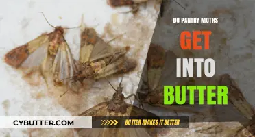 Can Pantry Moths Infest Butter? Facts and Prevention Tips Revealed