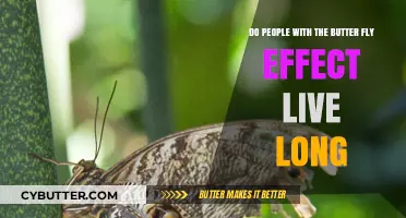 Unraveling the Mystery: Longevity and the Butterfly Effect