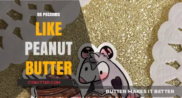 Possum Preferences: A Nutty Inquiry into Peanut Butter Liking