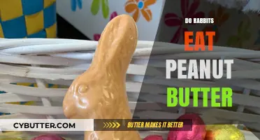 Can Rabbits Enjoy Peanut Butter? A Nutty Inquiry