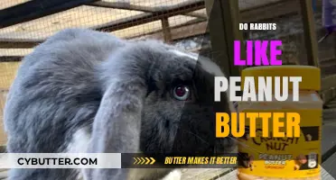 Do Rabbits Like Peanut Butter? A Comprehensive Guide to Bunny Diets