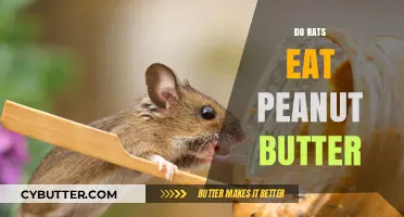 The Surprising Truth About Rats and Peanut Butter