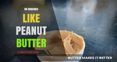 The Surprising Truth: Do Roaches Really Like Peanut Butter?
