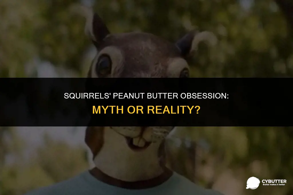 do squirrels like peanut butter