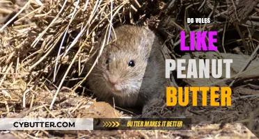 Voles and Peanut Butter: An Unusual Taste Test