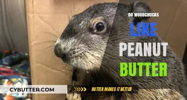 Woodchuck's Delight: Exploring Their Love for Peanut Butter