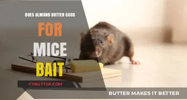 Almond Butter as Mice Bait: Effective or Just a Myth?
