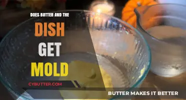 Can Butter and Dishes Develop Mold? Prevention and Storage Tips