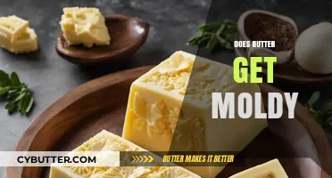 Can Butter Mold? Understanding Its Shelf Life and Storage Tips