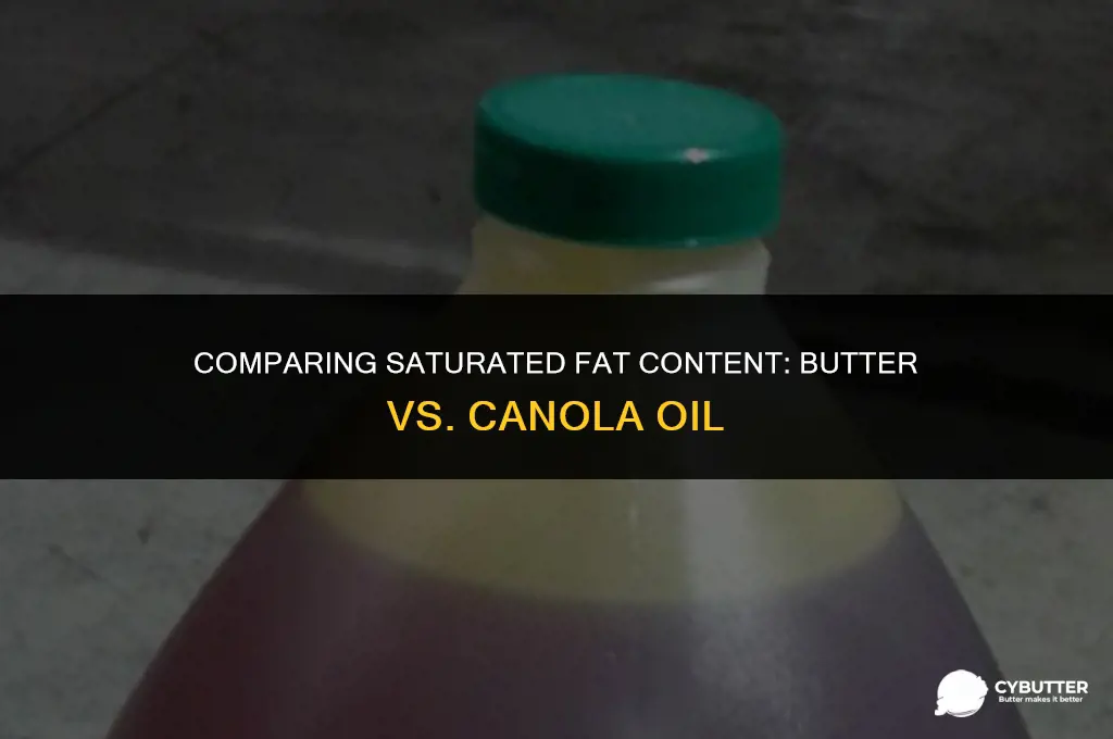 does butter have more saturated fat than canola oil
