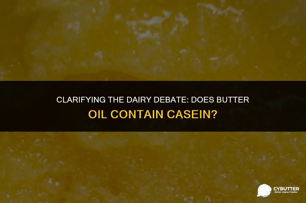 does butter oil contain casein