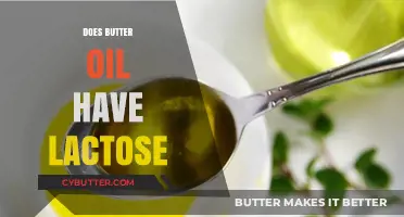 Clarifying the Lactose Content in Butter Oil: A Comprehensive Guide