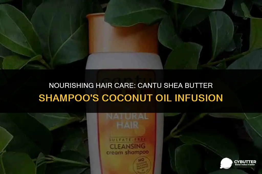 does cantu shea butter shampoo have coconut oil