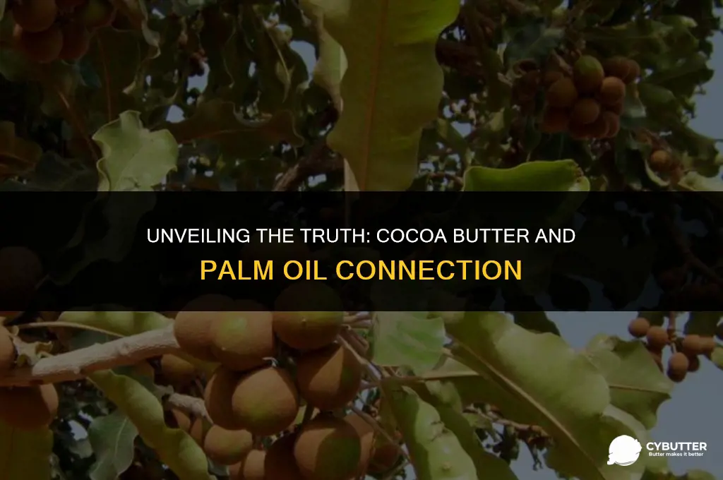 does cocoa butter contain palm oil