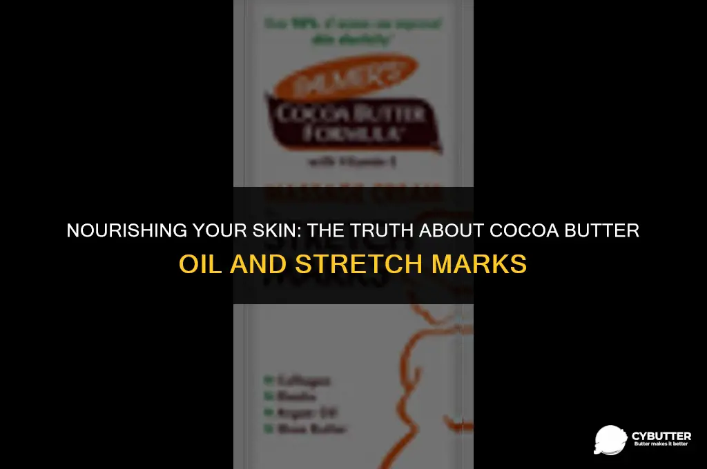 does cocoa butter oil prevent stretch marks