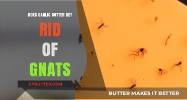Garlic Butter Gnat Repellent: Myth or Effective Pest Control Solution?