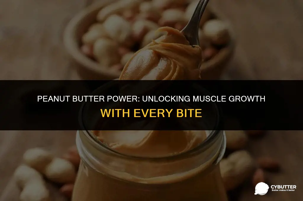 does peanut butter build muscle