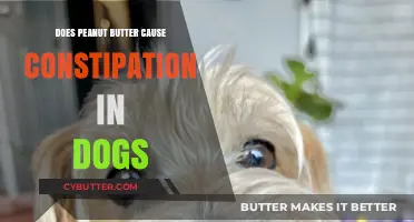 Can Peanut Butter Cause Constipation in Dogs? Facts and Myths