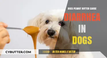 Can Peanut Butter Upset a Dog's Stomach? What You Need to Know