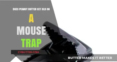 Does Peanut Butter Expire on Mouse Traps? Surprising Facts Revealed