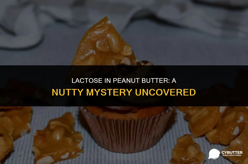 does peanut butter have lactose