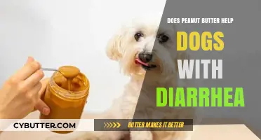 Can Peanut Butter Aid Dogs with Diarrhea? A Surprising Home Remedy