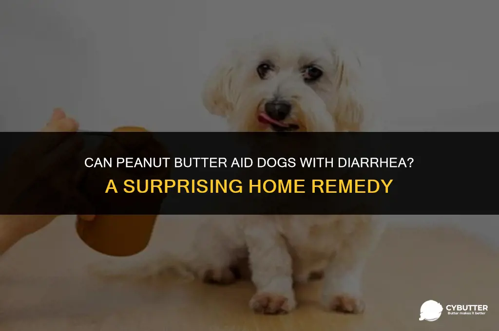 does peanut butter help dogs with diarrhea