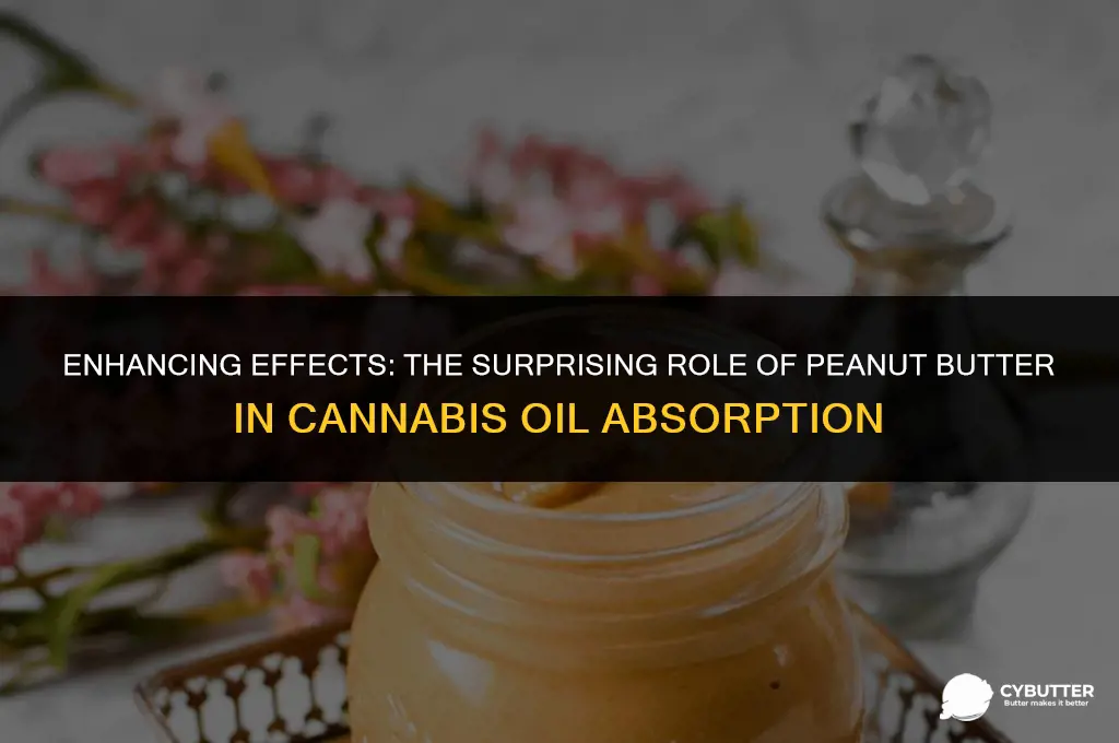 does peanut butter help marijuana oil absorb better