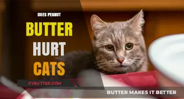 The Surprising Truth About Peanut Butter and Cats: What You Need to Know