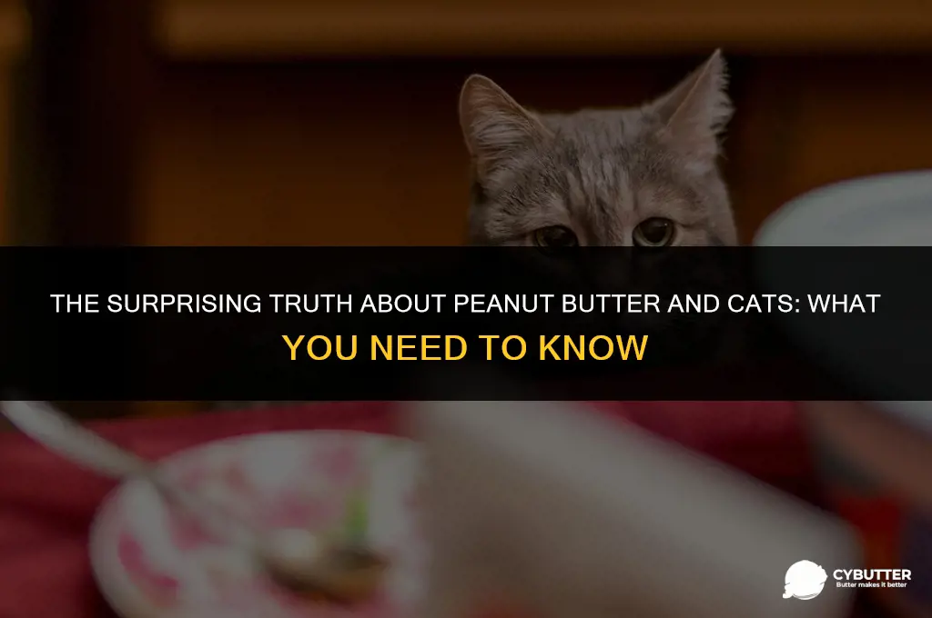 does peanut butter hurt cats