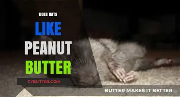 Rats' Peanut Butter Preference: Fact or Fiction?