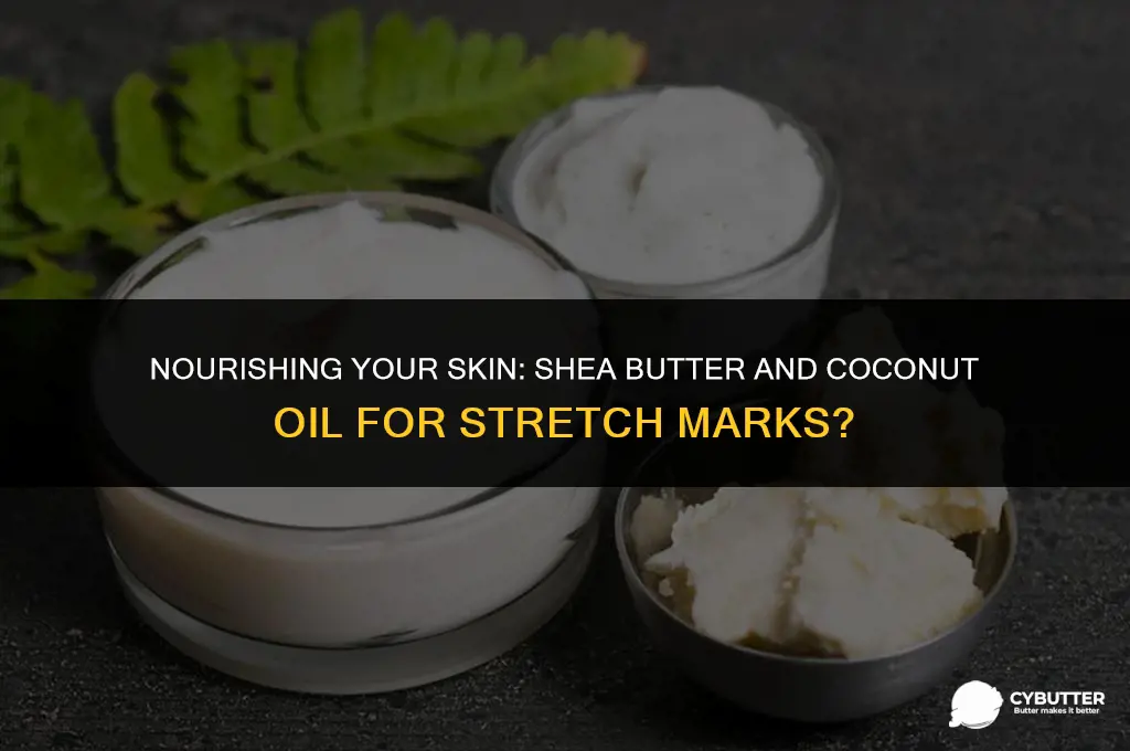 does shea butter and coconut oil remove stretch marks